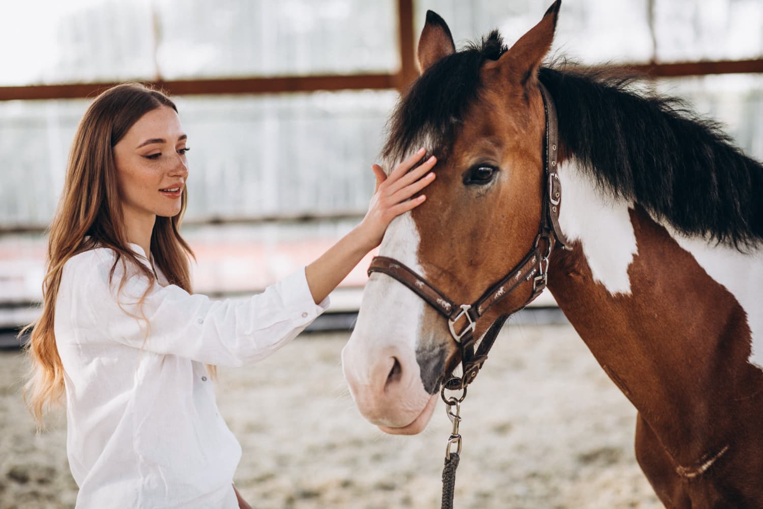 equinoterapia hipica sibaris equinoterapia-sibaris