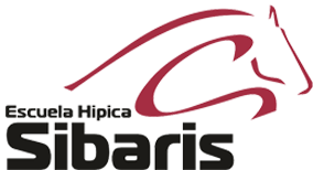logo-black